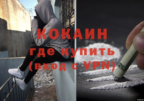 индика Баксан