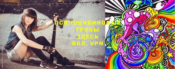 крисы Аркадак