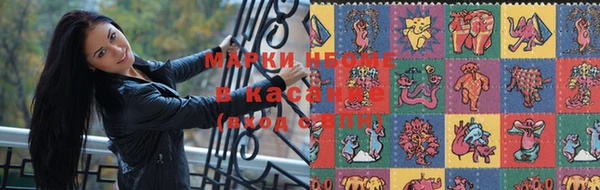 крисы Аркадак